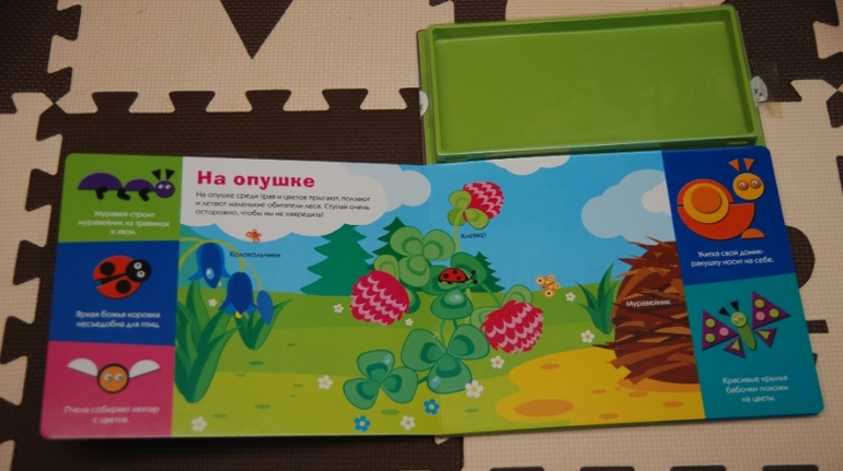 От слона до крокодила