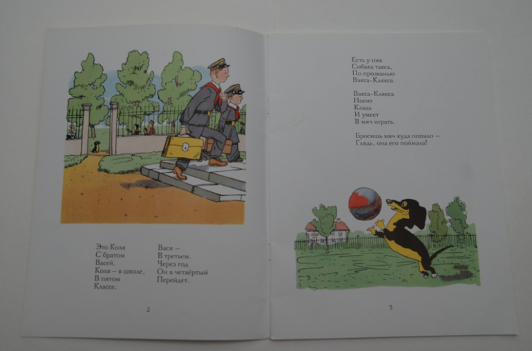 Тоненькие книжечки.