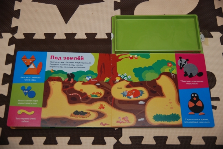 От слона до крокодила