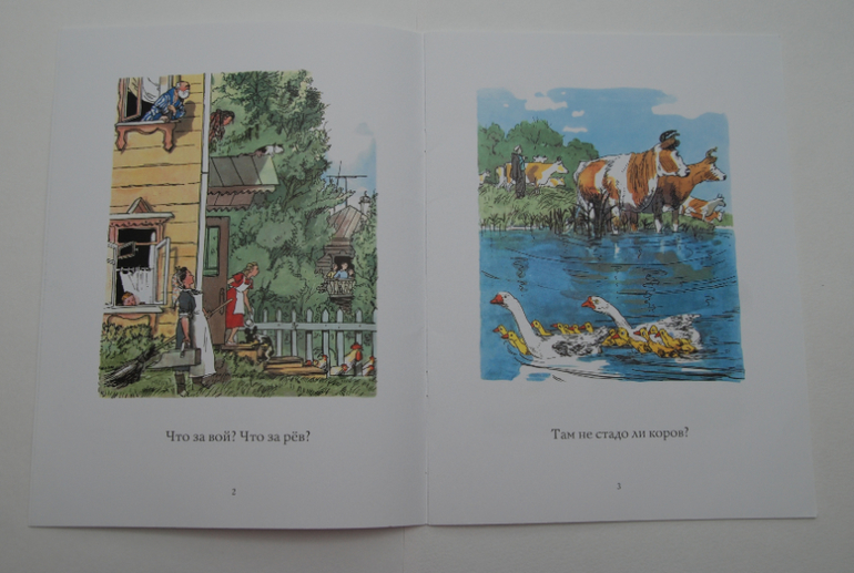 Тоненькие книжечки.