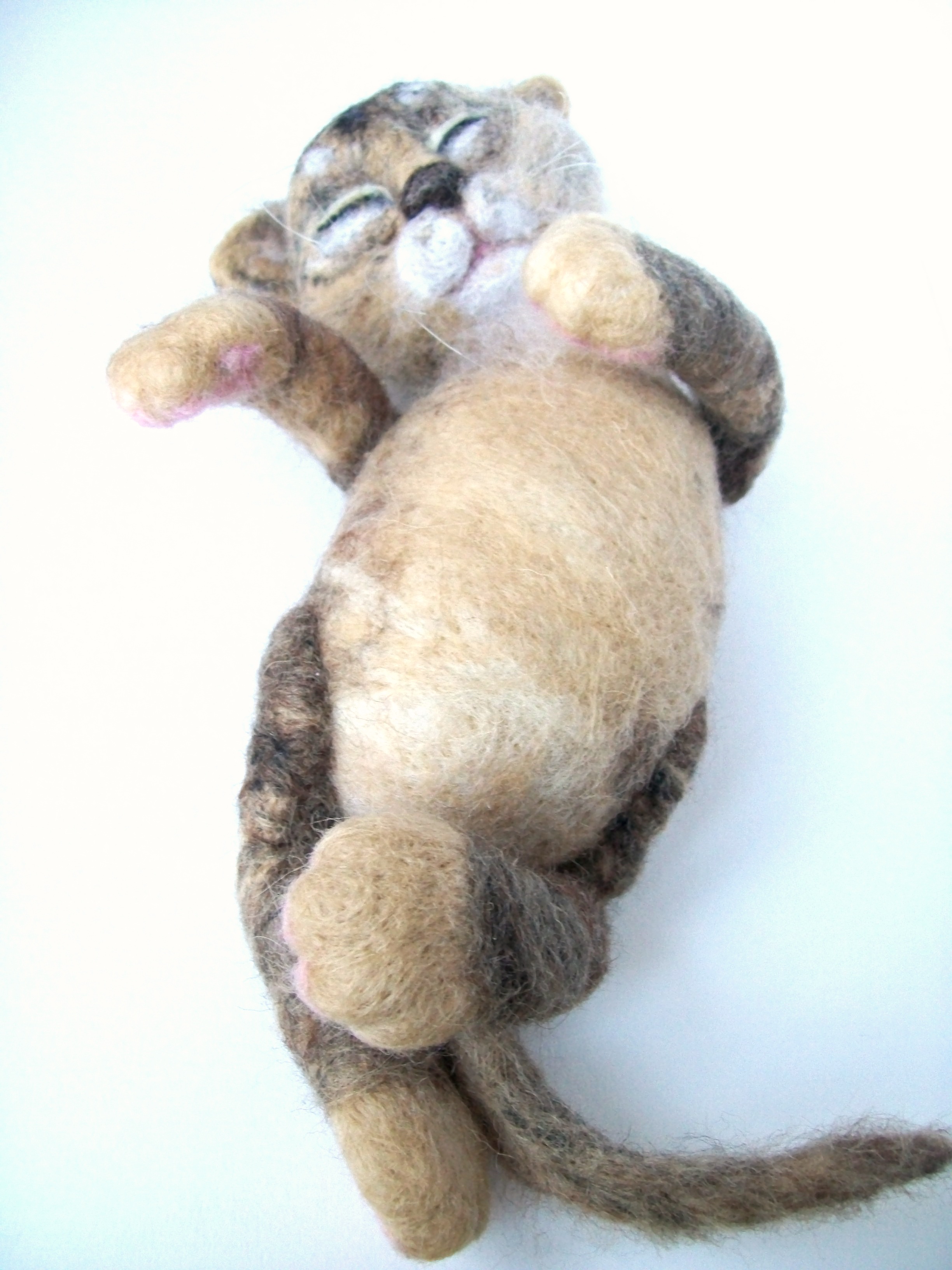 Сладкая кошачья парочка.