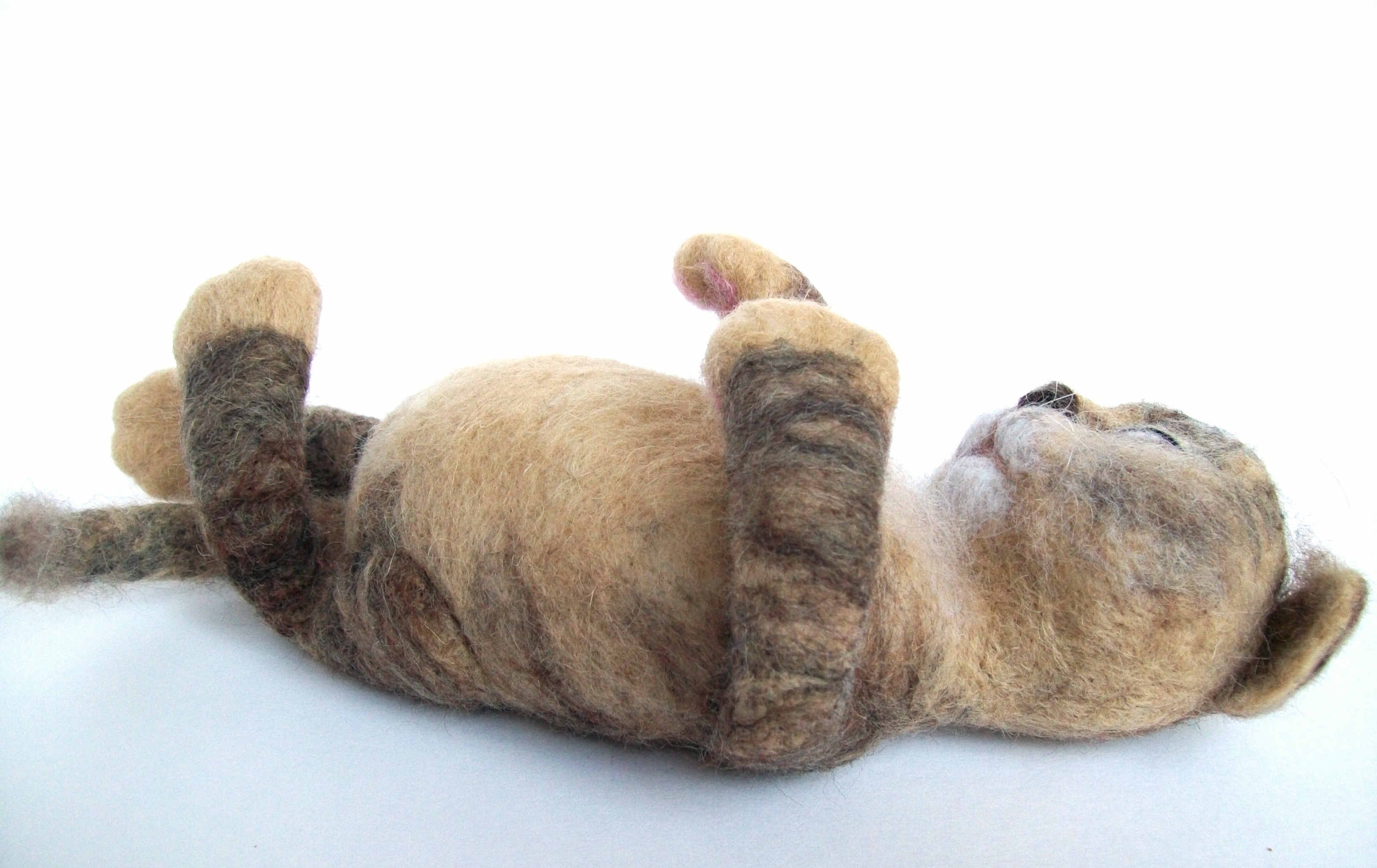 Сладкая кошачья парочка.