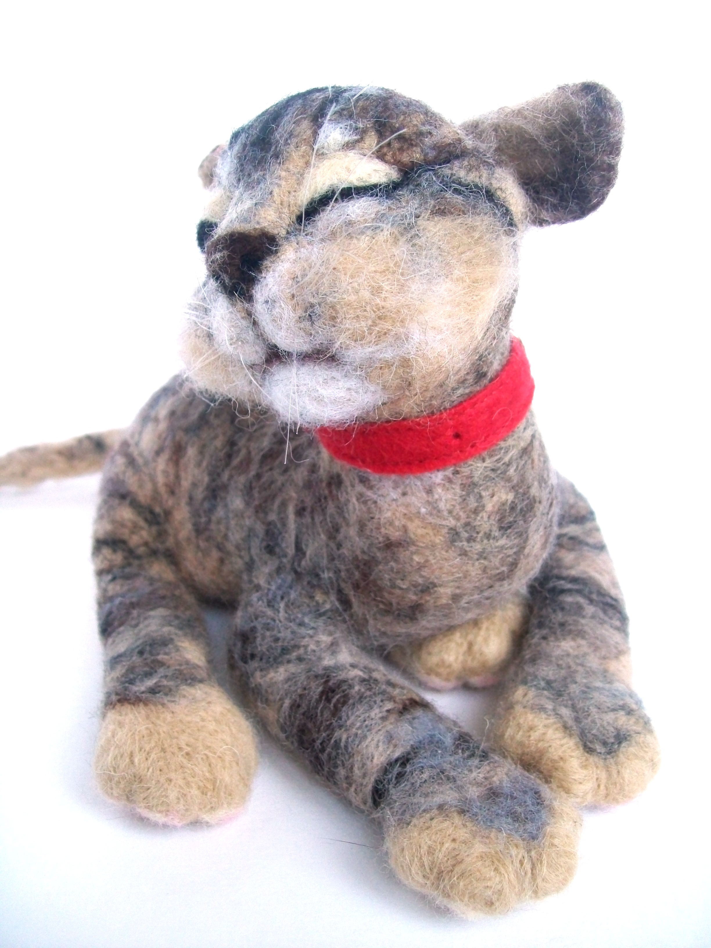 Сладкая кошачья парочка.