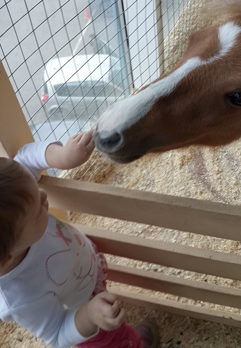 Поездка в контактный зоопарк в будний день
