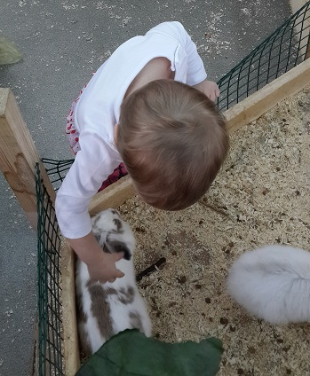 Поездка в контактный зоопарк в будний день