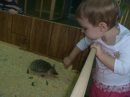 Поездка в контактный зоопарк в будний день