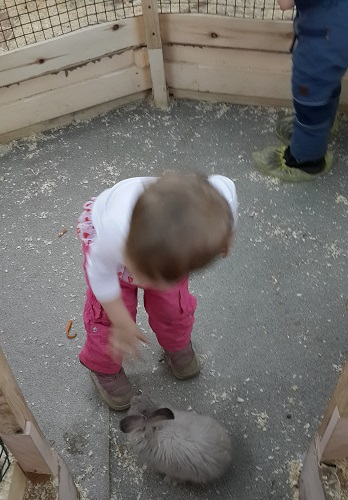 Поездка в контактный зоопарк в будний день