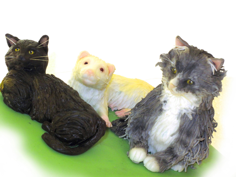 Зверский тортик))))