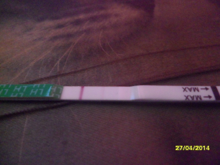 Тест,посмотрите Профи!!!!!