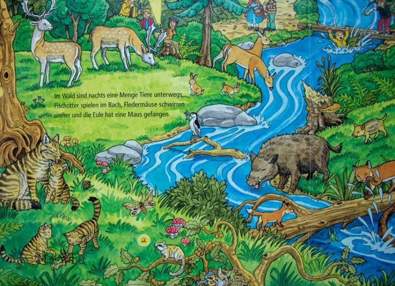Wimmelbuch Tiere