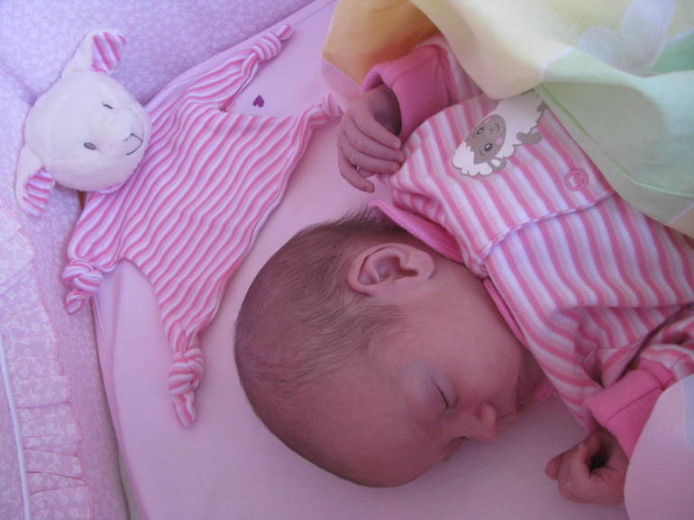 d62010918901d6ef6a34e95320db337a.jpg