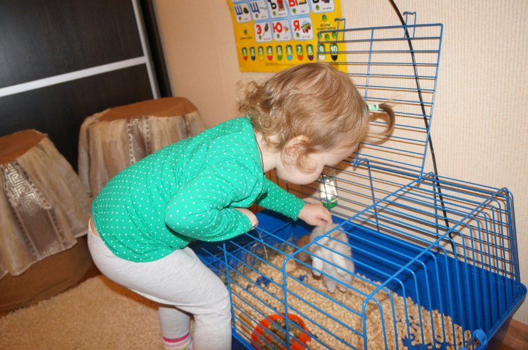 Вот что мы выбрали в подарок Майе)