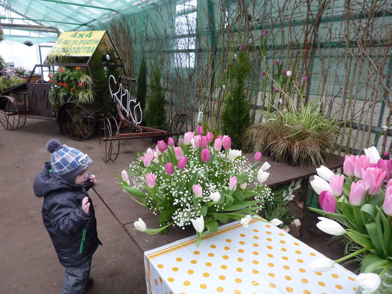 Экскурсия в совхоз