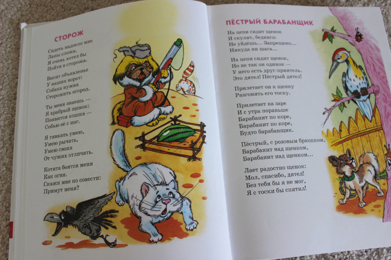 Наша поэзия-1