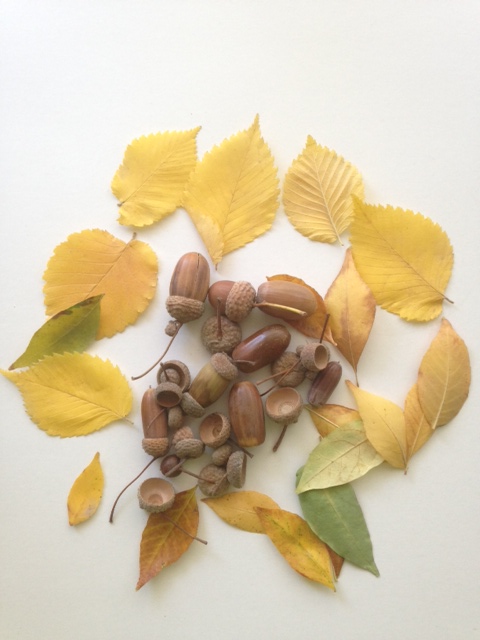 Окружающий мир