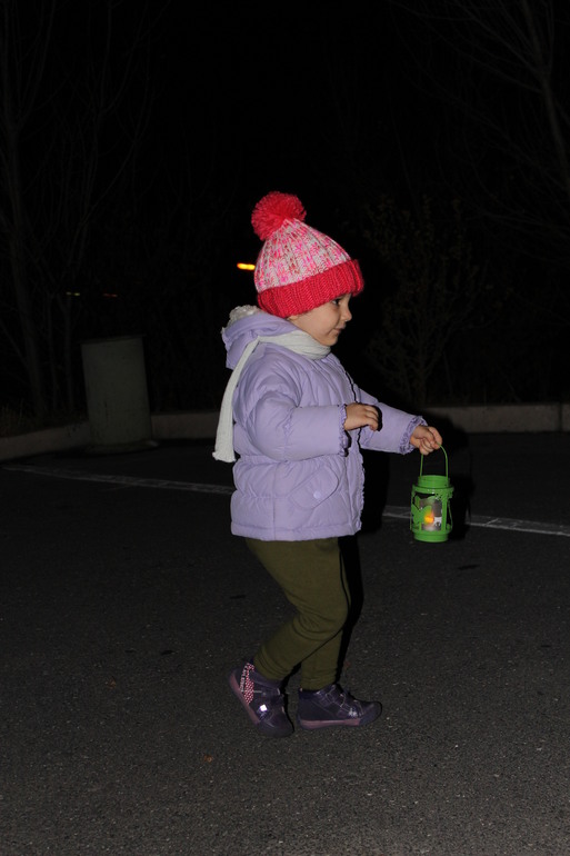 Праздник фонариков