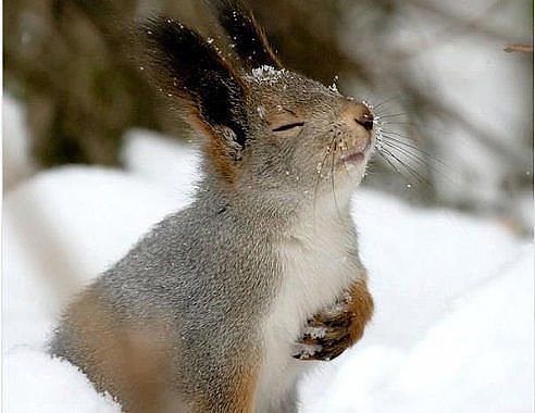 КАКАЯ БОООЛЬ, КАКАЯ БООООЛЬ! ПОВСЮДУ СКИДКИ, А ДЕНЕГ НОООЛЬ!))))))))))