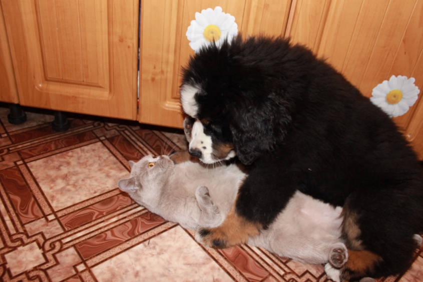 Ричард и все все все)))