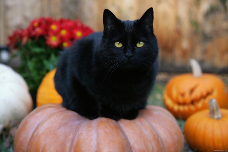 А мне нравится! Или Happy Halloween!!