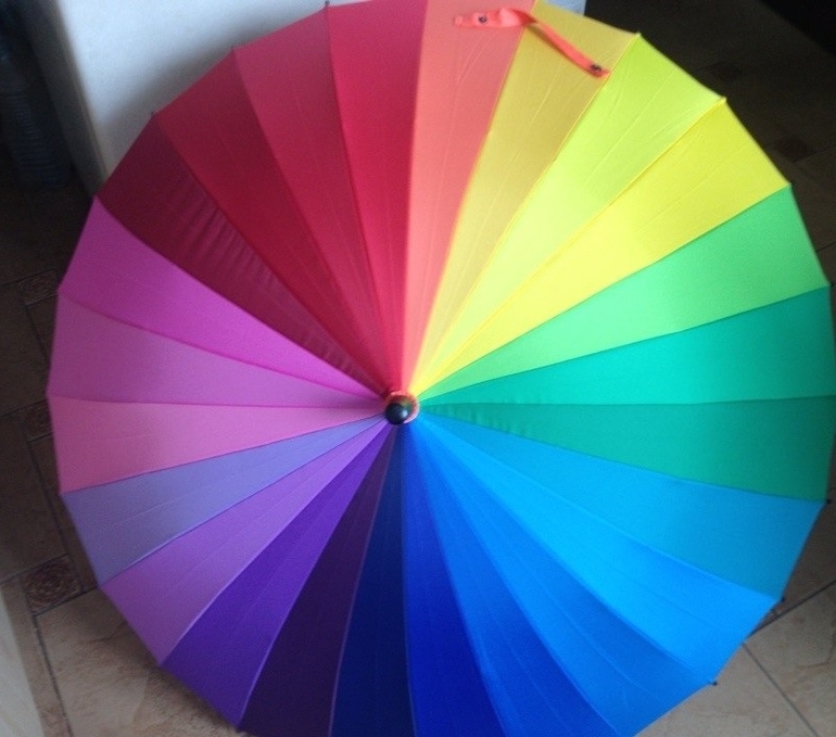 Мои хвастики