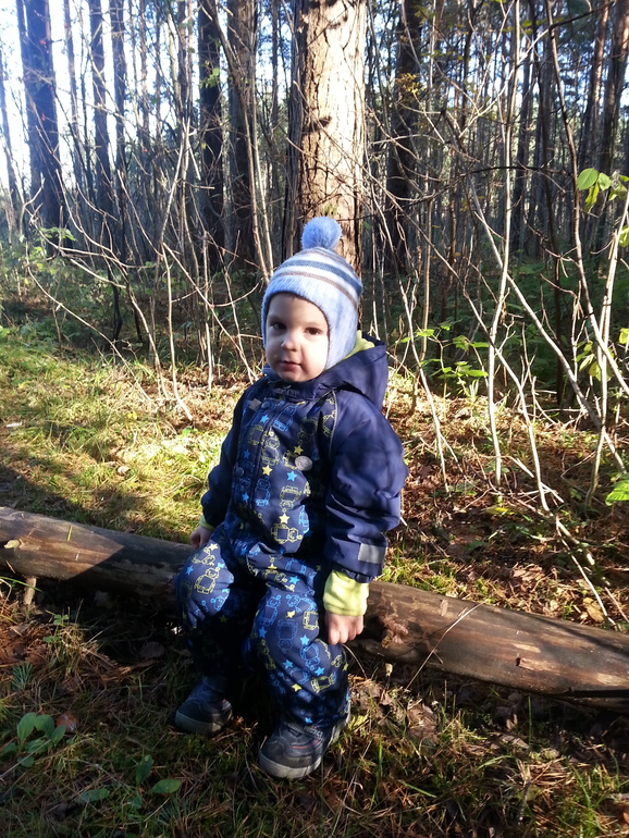 В осеннем лесу