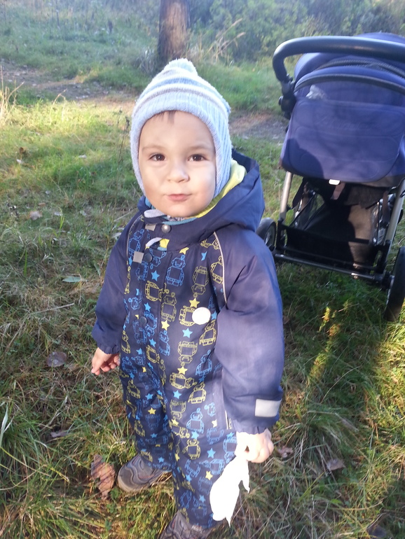 В осеннем лесу