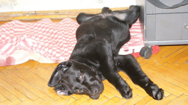 решила вспомнить))