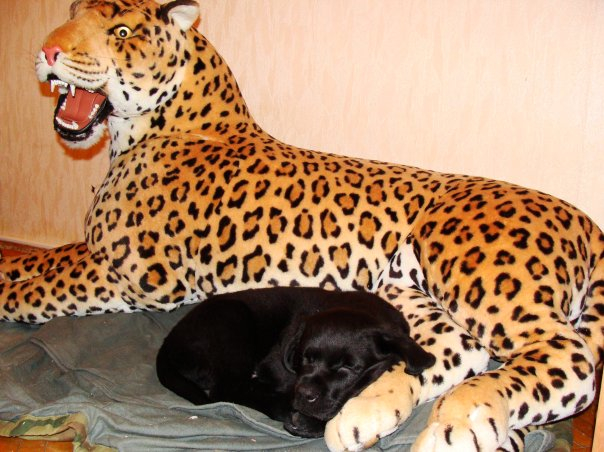 решила вспомнить))