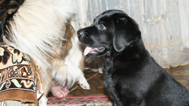 решила вспомнить))