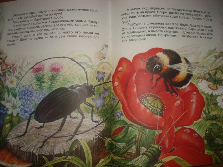 Большой книжный май. Часть 2-я.