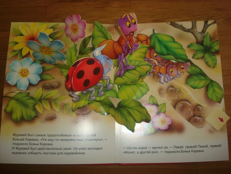 Большой книжный май. Часть 2-я.