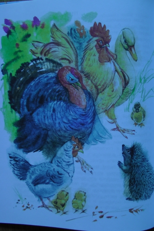 А у нас опять книжное пополнение...