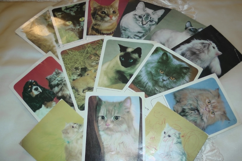 Вот такой вот