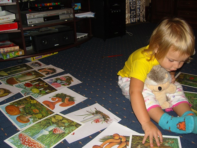 День 2. ТН Осень. Грибы