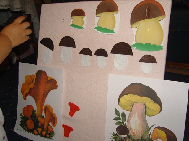 День 2. ТН Осень. Грибы