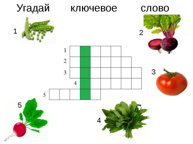 Салат прямо с грядки кроссворд