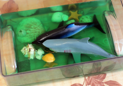 ТН Пляжный отдых (Турция)