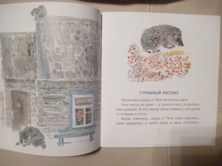 Чарушинские зверята (подробные фото и отзыв)