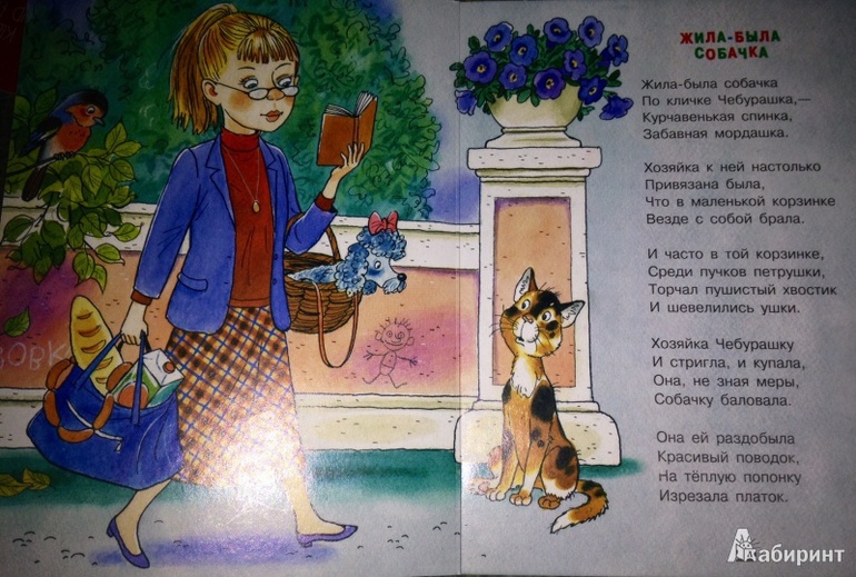 Картонные книжки для малышей