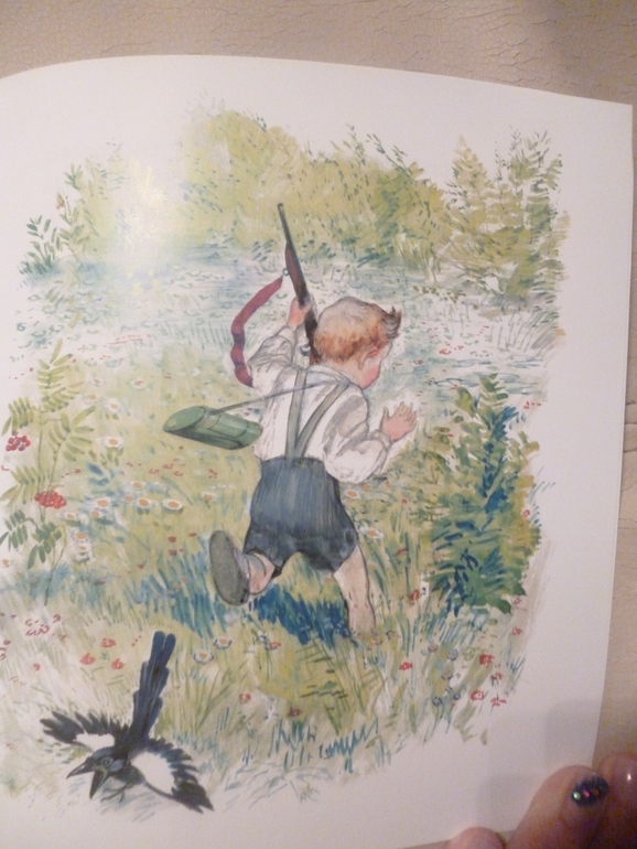 Чарушинские зверята (подробные фото и отзыв)