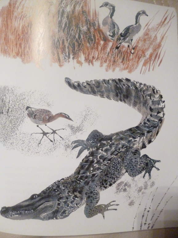 Чарушинские зверята (подробные фото и отзыв)