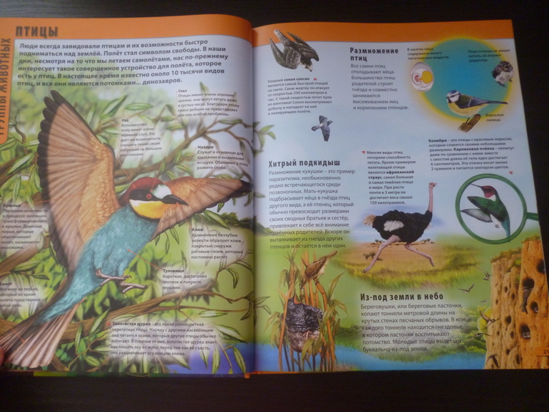 Энциклопедии про животных