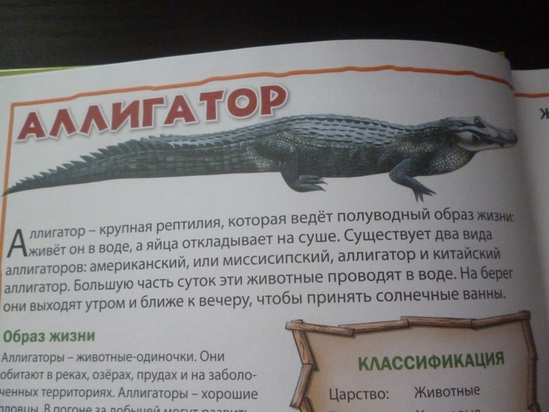 Энциклопедии про животных