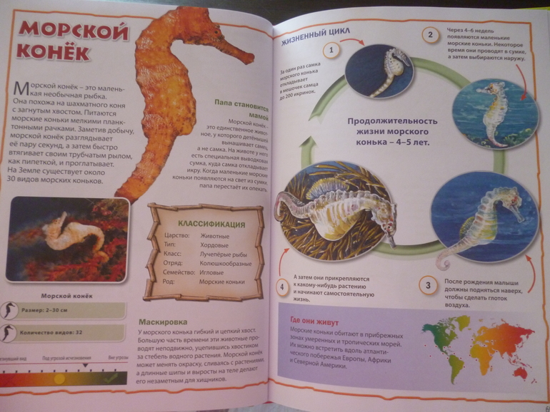 Энциклопедии про животных