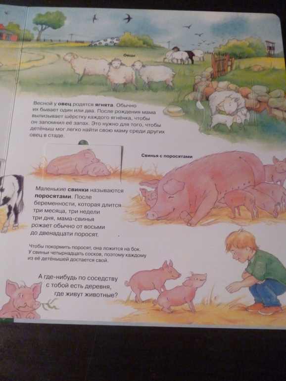 Энциклопедии про животных