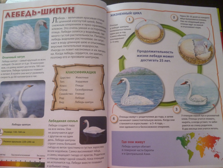 Энциклопедии про животных