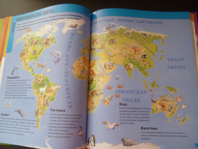 Энциклопедии про животных