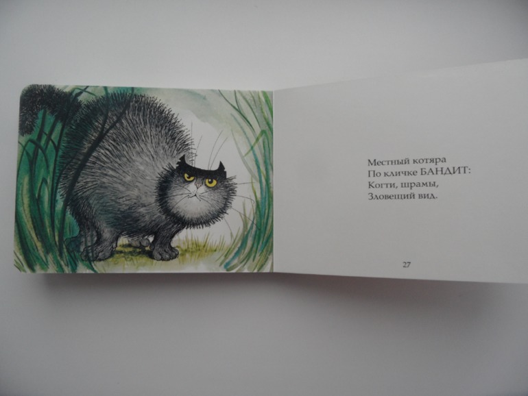 Наши книжные новинки (1,6)