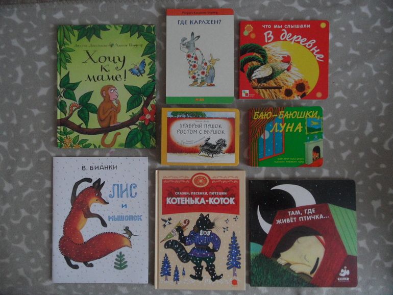 Наши книжные новинки (1,6)