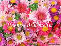 7d8b9ef6a3e723b78d19762e98e27526.jpg